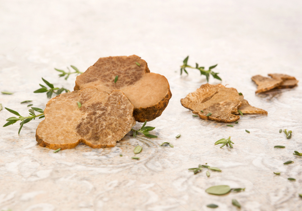 ȭ��Ʈ Ʈ����