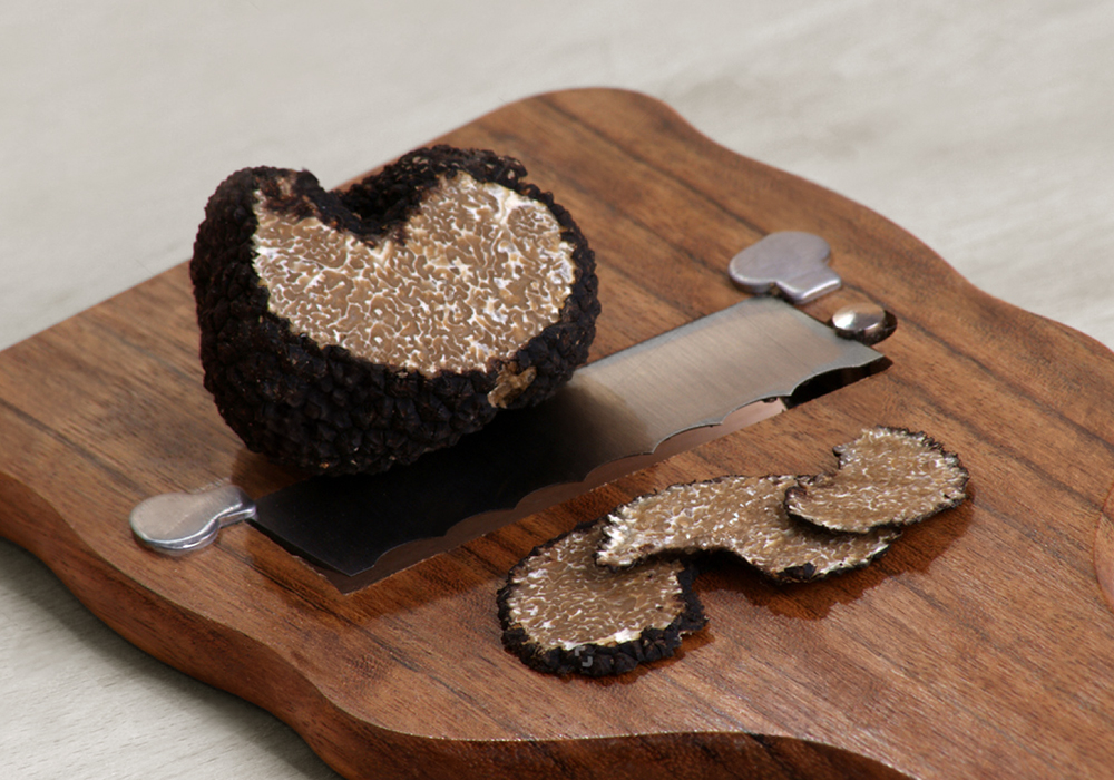 ���� Ʈ����