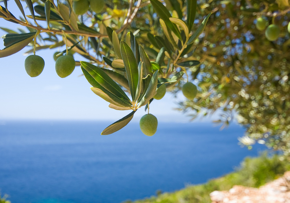 ����� �ø���