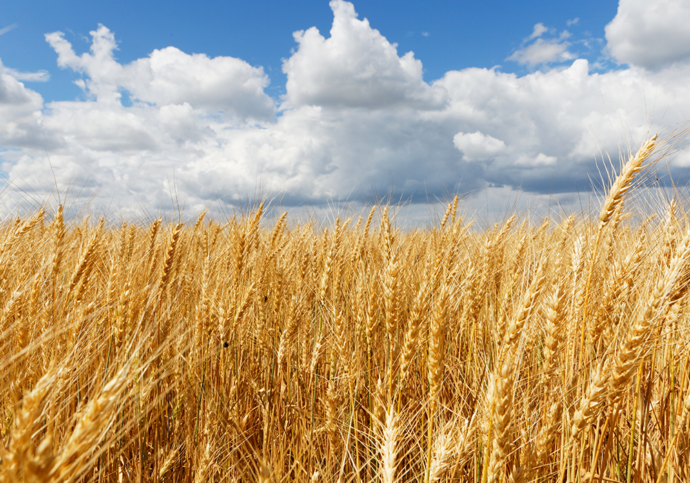 ���ν���