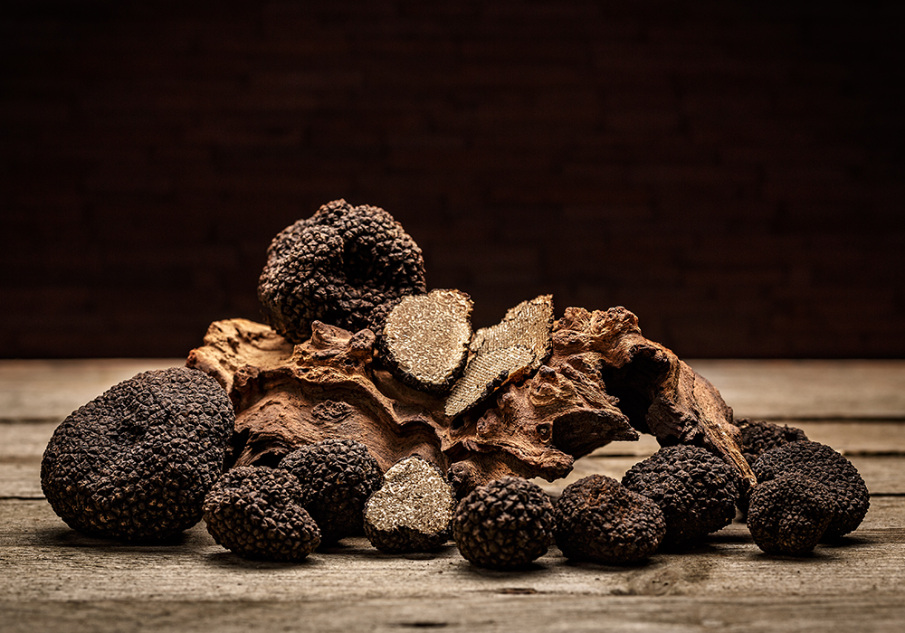 ��� Ʈ����